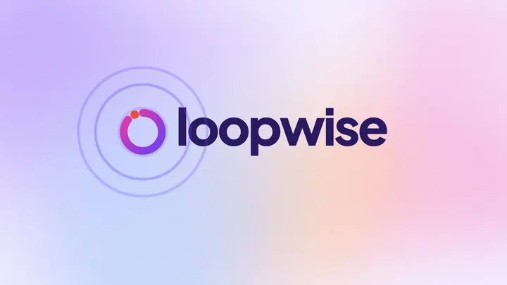 Loopwise, saas launch film by Francis Irabor